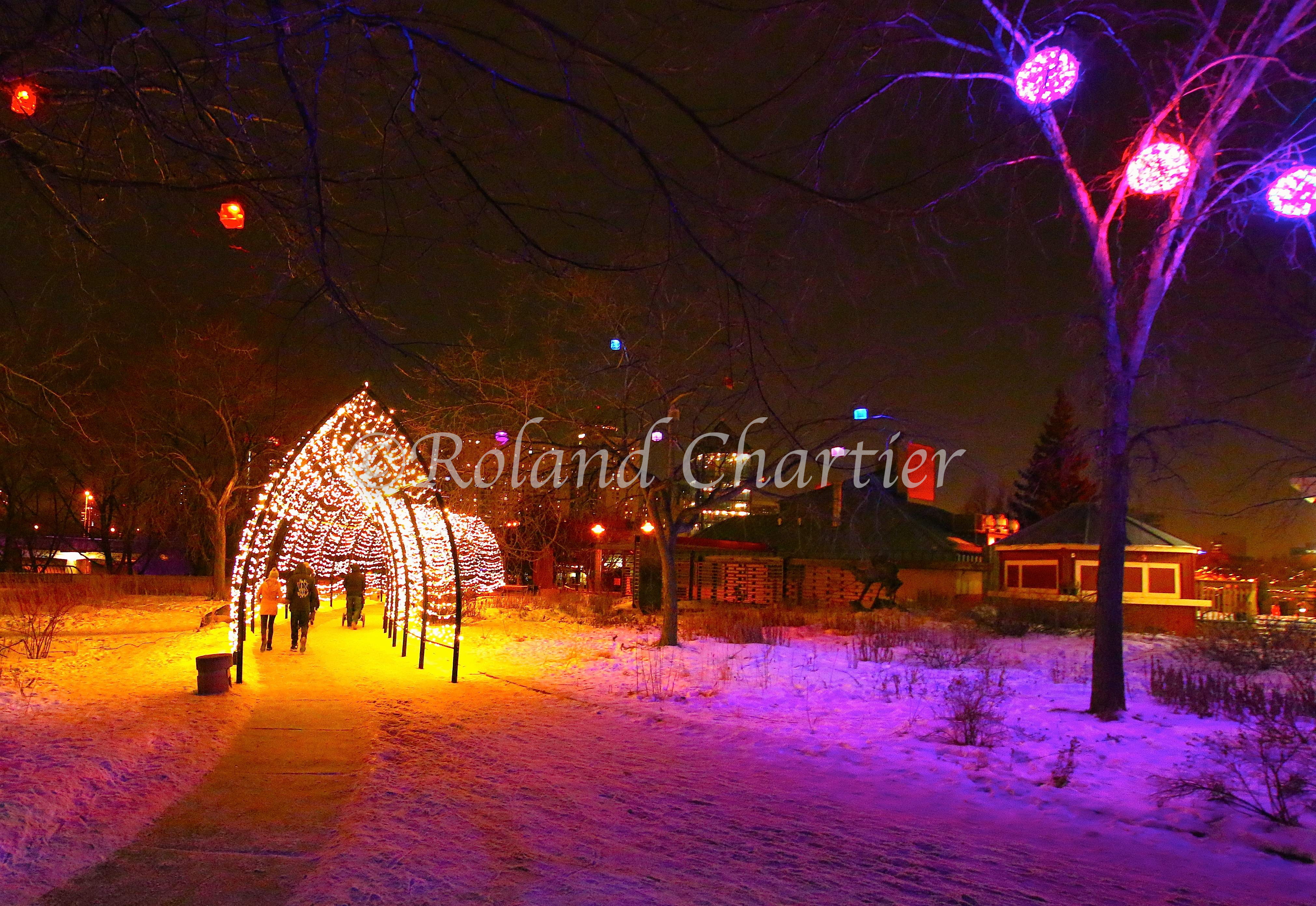 The trail at The Forks National Historic Site at night during Winter time.